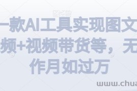 利用一款AI工具实现图文带货+中视频+视频带货等，无脑操作月如过万【揭秘】