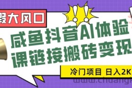 寒假大风口咸鱼抖音AI体验课链接搬砖变现，全网首发冷门项目，小白可日入2K+【揭秘】