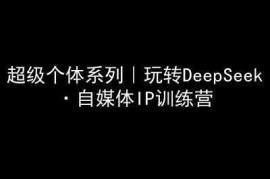 超级个体系列，玩转DeepSeek·自媒体IP训练营，deepseek教程