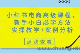 小红书电商高级课程，新手小白必学方法，实操教学+案例分析