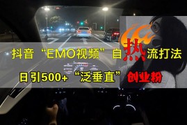 （13029期）抖音EMO视频自热打法，日引500+“泛垂直”创业粉