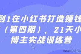 从0到1在小红书打造赚钱的个人IP（第四期），21天小红书博主实战训练营