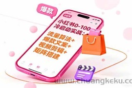 （16298期）小红书0-100冷启动实战：流量算法+爆款选品+爆款文案+视频剪辑+矩阵搭建