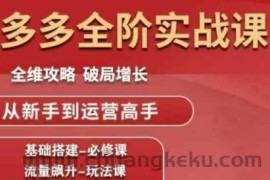 拼多多全阶实战课程，全维攻略，破局增长，从新手到运营高手