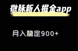 最新微脉长久项目，拉新掘金，月入稳定900+