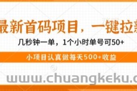 最新首码项目，操作最简单，收益高，一键拉新，1个小时单号可50+，小项目认真做每天5张+收益【揭秘】