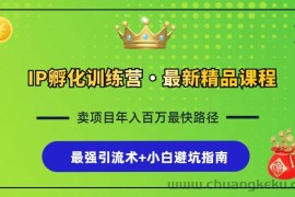 （13055期）IP孵化训练营，知识付费全流程+最强引流术+小白避坑指南