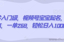 玄学入门级，视频号宝宝起名，0成本，一单268，轻松日入1000+【揭秘】