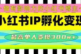 （4612期）某收费培训-小红书IP孵化变现：做有影响力的小红书博主，最高单人变现300w+