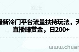 2024最新冷门平台流量扶持玩法，无人游戏直播赚赏金，日200+【揭秘】