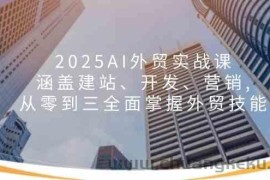 2025AI外贸实战课：涵盖建站、开发、营销, 从零到三全面掌握外贸技能