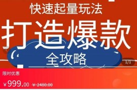 威哥·拼多多从0起步小白到大神运营全攻略，快速起量打造爆款