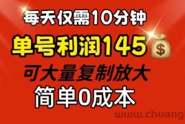 （12027期）每天仅需10分钟，单号利润145 可复制放大 简单0成本