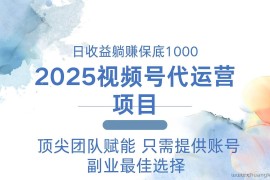 （14240期）2025视频号代运营 日躺赚1000＋ 只需提供账号