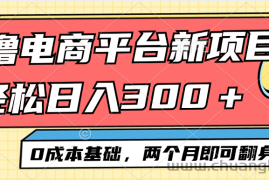 （12685期）电商平台新赛道变现项目小白轻松日入300＋0成本基础两个月即可翻身