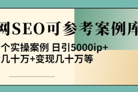 白杨全网SEO可参考案例库，几十个实操案例日引5000ip+涨粉百W+变现几十W等!