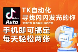 （10733期）海外抖音TK自动挂机，手机全自动挂机，每天轻松搞2张