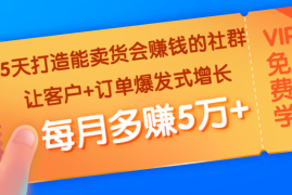 （1363期）5天打造能卖货会赚钱的社群：让客户+订单爆发式增长，每月多赚5万+