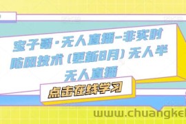 宝子哥·无人直播-非实时防风技术(更新25年12月)无人半无人直播
