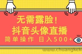 无需露脸，Ai头像直播项目，简单操作日入500+【揭秘】