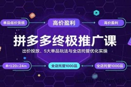 拼多多终极推广课：出价投放、5大单品玩法与全店托管优化实操