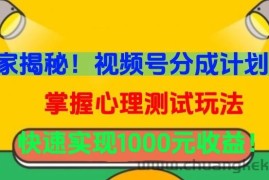 独家揭秘！视频号分成计划曝光，掌握心理测试玩法，快速实现1000元收益【揭秘】