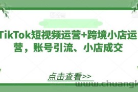 TikTok短视频运营+跨境小店运营，账号引流、小店成交