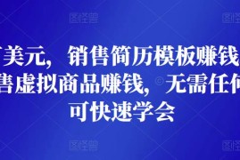 月赚2万美元，销售简历模板赚钱，通过ETSY销售虚拟商品赚钱，无需任何技能即可快速学会