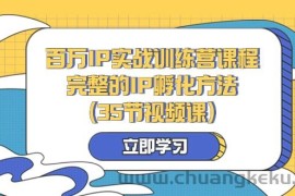 百万IP实战训练营课程，完整的IP孵化方法（35节视频课）