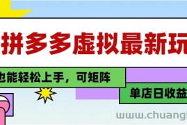 25最新拼多多虚拟电商，单店日入3位数， 小白也能快速上手，保姆级教程