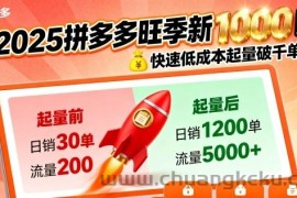 2025拼多多旺季新老店铺——快速低成本起量破千单