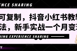 简单可复制，抖音小红书教辅项目新玩法，新手实战一个月变现16000+【视频课程+资料】