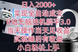 日入2000+，实现全自动成交，B站无脑挂机躺平3.0，当天操作当天见收益，实现睡后有收益【揭秘】