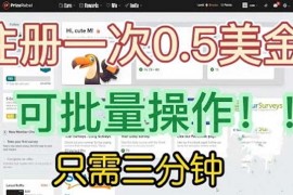 （6285期）国外项目注册一次0.5美金 只需三分钟无脑操作 可批量放大 小白工作室福利