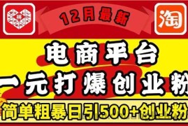 12月最新：电商平台1元打爆创业粉，简单粗暴日引500+精准创业粉，轻松月入过W【揭秘】