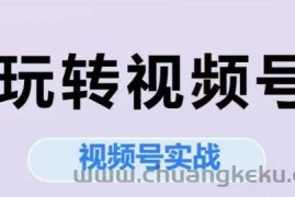 玩转视频号，视频号实战系列课