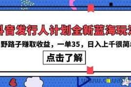 （10067期）抖音发行人计划全新蓝海玩法，野路子赚取收益，一单35，日入上千很简单!