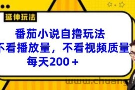 番茄小说自撸玩法，不看播放量，不看视频质量，每天200+【揭秘】