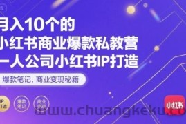 月入10个的小红书商业爆款私教营，一人公司小红书IP打造，爆款笔记，商业变现秘籍