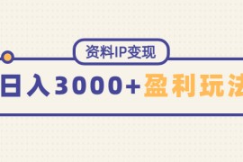 （4576期）资料IP变现，能稳定日赚3000起的持续性盈利玩法