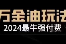 2024最牛强付费，万金油强付费玩法，干货满满，全程实操起飞（更新12月）