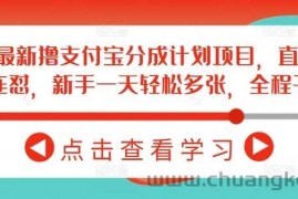 2月最新撸支付宝分成计划项目，直接搬运连怼，新手一天轻松多张，全程干货