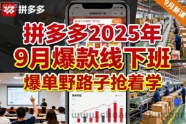 拼多多2025年9月爆款线下班，爆单野路子抢着学