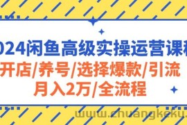 （10711期）2024闲鱼高级实操运营课程：开店/养号/选择爆款/引流/月入2万/全流程