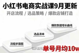 （16120期）小红书电商实战课9月更新，开店流程/选品策略/爆款店铺打造，单号月均10w+