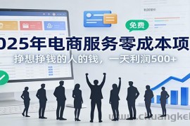 2025年电商服务零成本项目，挣想挣钱的人的钱，一天利润500+