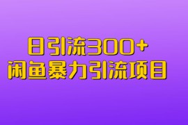 （6694期）日引流300+闲鱼暴力引流项目