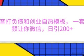 抖音打负债和创业自热模板， 一套视频让你微信，日引200+