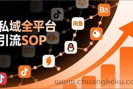 （16994期）私域全平台引流SOP，抖音/快手/小红书/微信/QQ/B站/闲鱼等，技术合集，高效转化公域流量