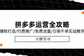 拼多多运营全攻略，爆款打造/付费推广/免费流量/日销千单实战教学/6月更新